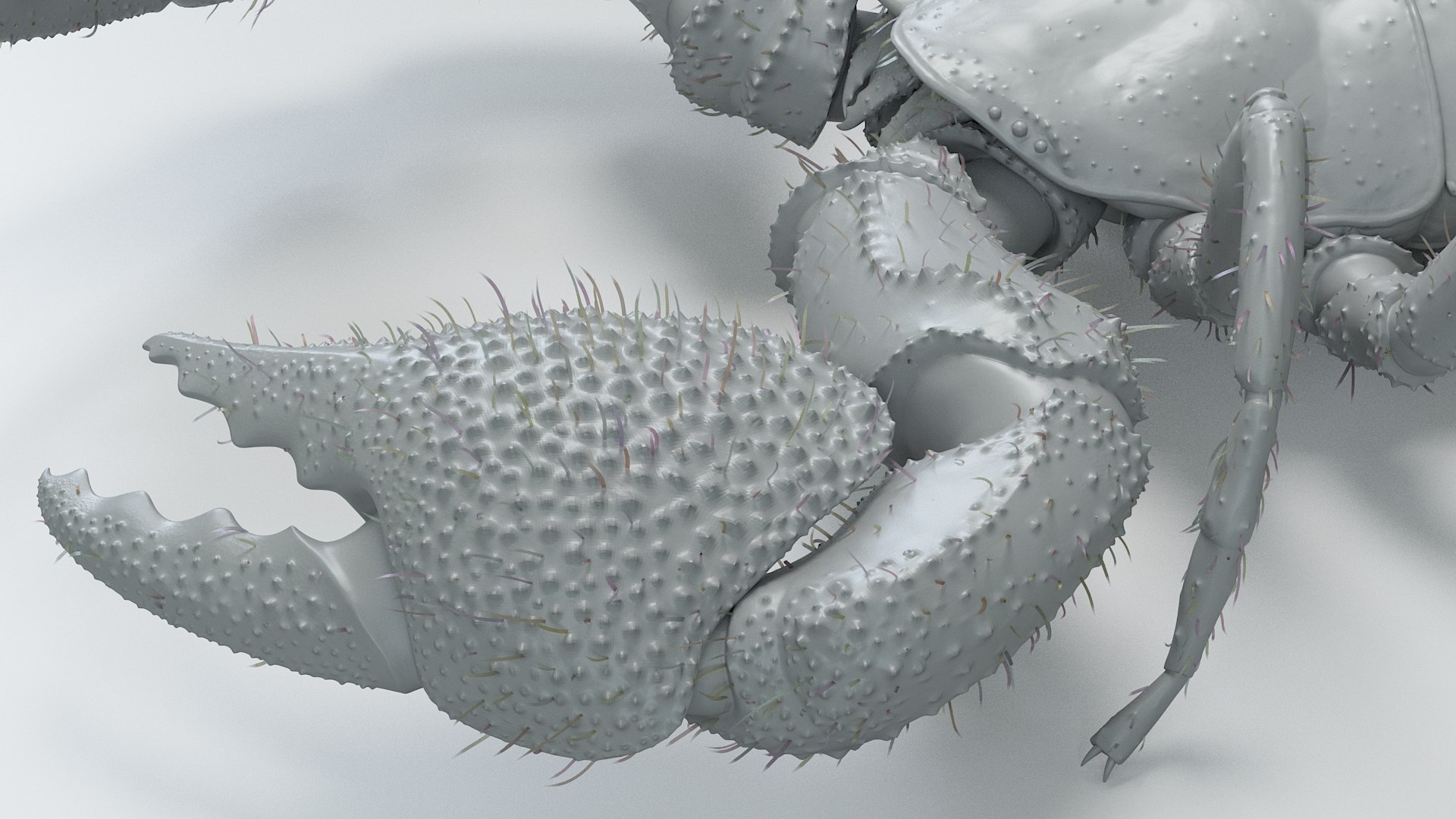 Black Emperor Scorpion Rigged 3D model https://p.turbosquid.com/ts-thumb/3x/NK1EXU/ho/black_emperor_rigged_26/jpg/1708416772/1920x1080/fit_q87/807e67dd50d441ff97a89e4fe160f22421e836c4/black_emperor_rigged_26.jpg