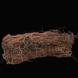 rock roots 3D model