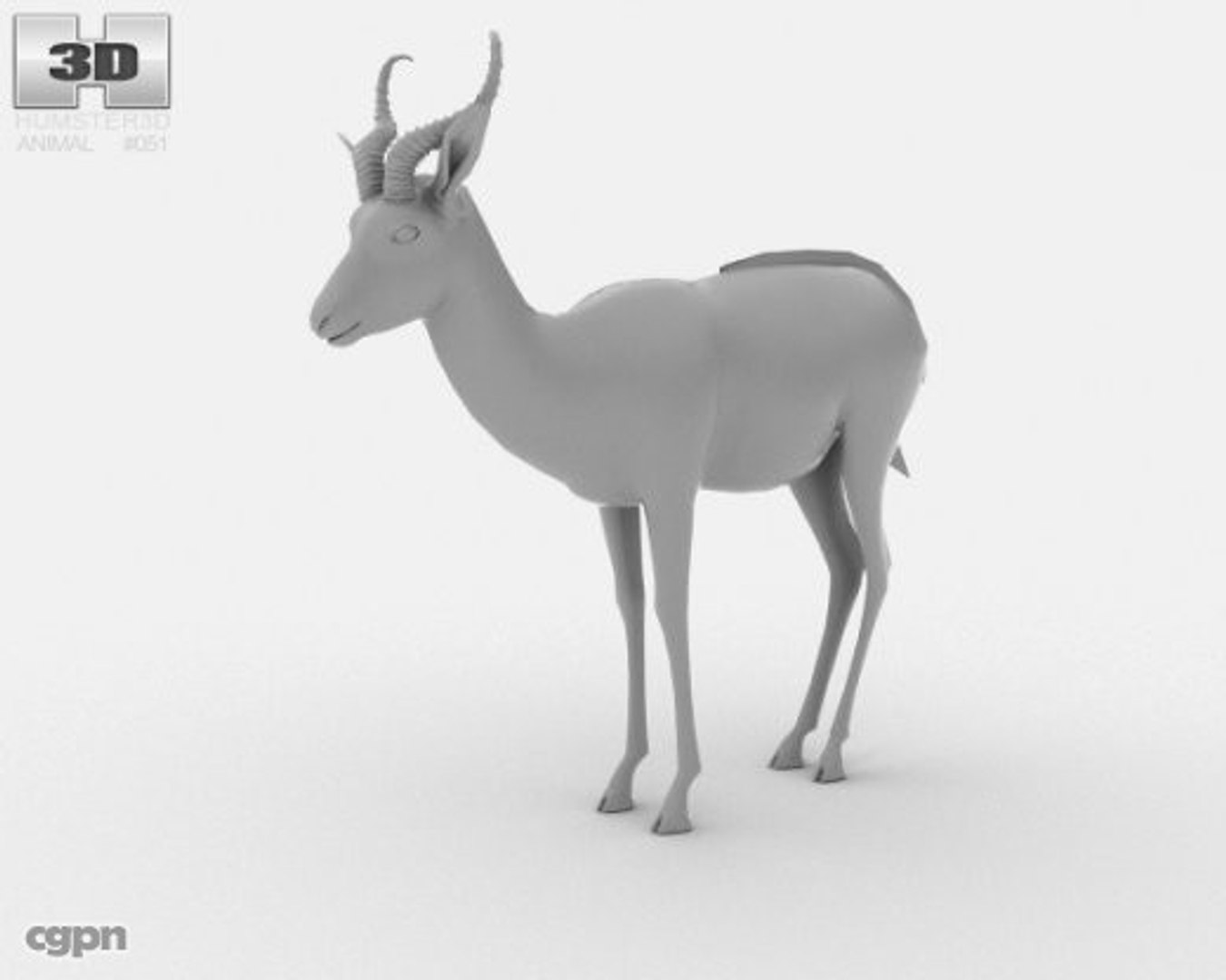 Antidorcas Marsupialis Springbok 3d Model