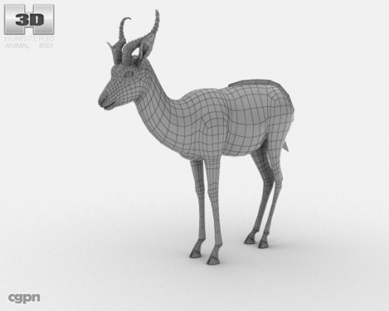 Antidorcas Marsupialis Springbok 3d Model