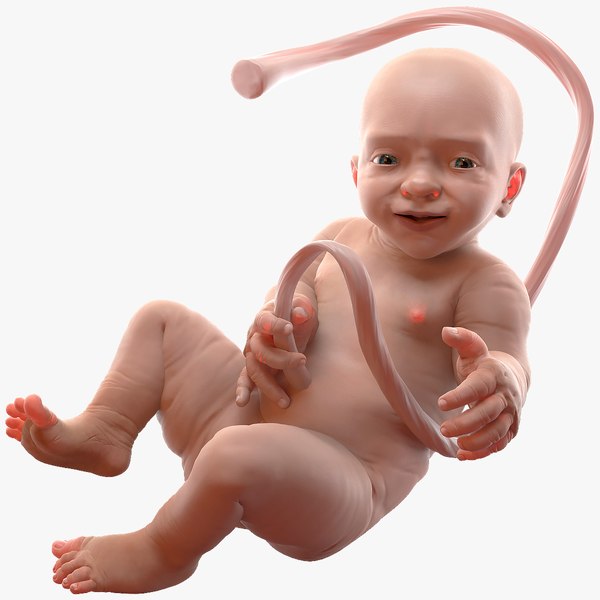 babyboyat38weeksrigged3dsmodel000.jpg