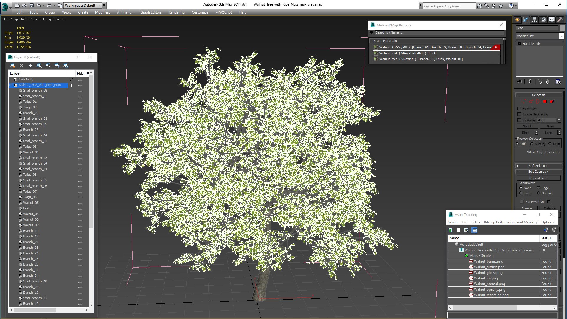 walnut tree ripe nuts 3D model https://p.turbosquid.com/ts-thumb/3x/vULpey/MR/walnuttreewithripenutsc4dmodel024/jpg/1614617002/1920x1080/fit_q87/f7253197805986af975ad1d42d01fdc01810b2ab/walnuttreewithripenutsc4dmodel024.jpg