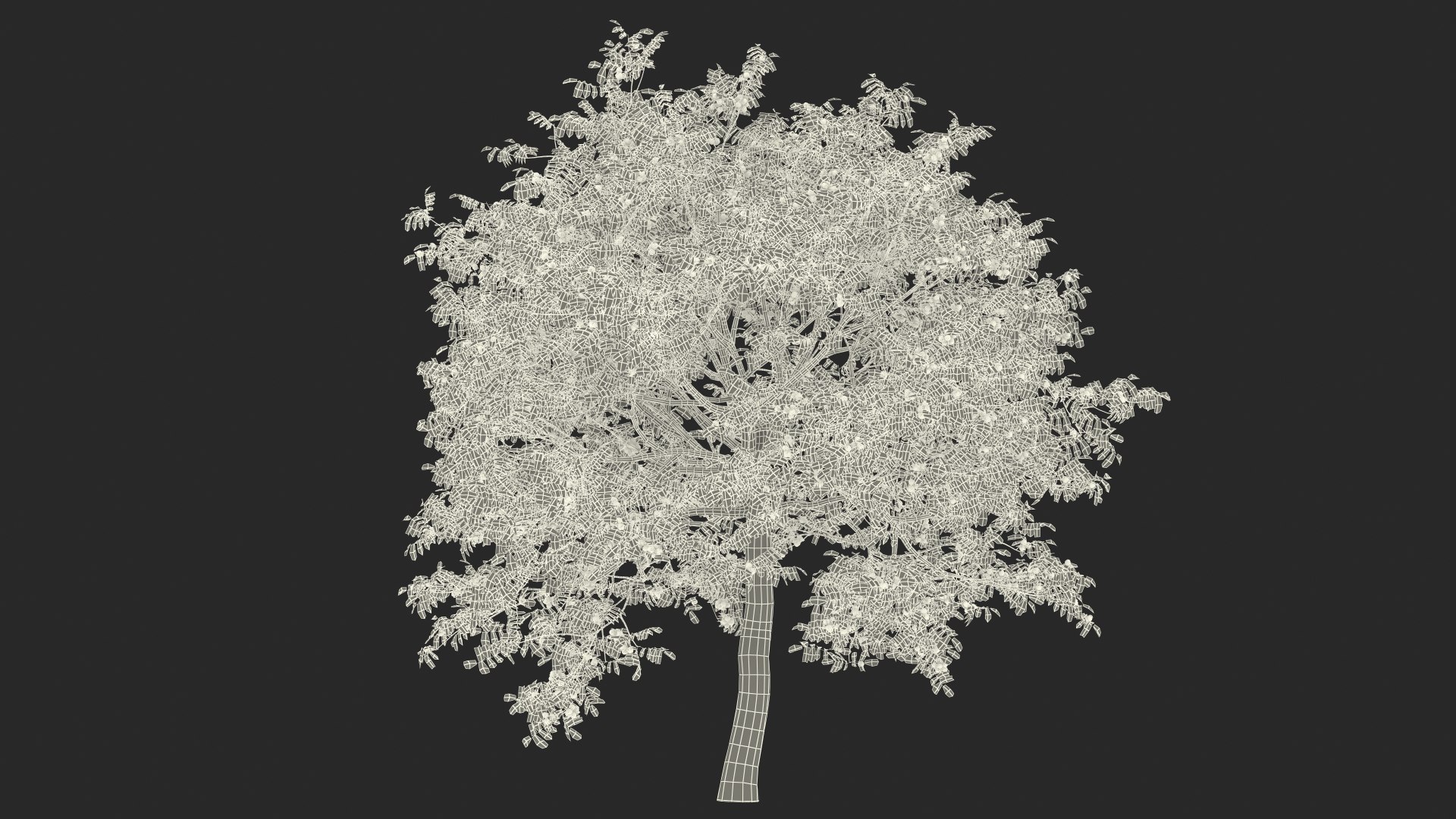 walnut tree ripe nuts 3D model https://p.turbosquid.com/ts-thumb/3x/vULpey/Ou/walnuttreewithripenutsc4dmodel029/jpg/1614617054/1920x1080/fit_q87/8434d44b5396290a9e1992830559dc0dbae3fb94/walnuttreewithripenutsc4dmodel029.jpg