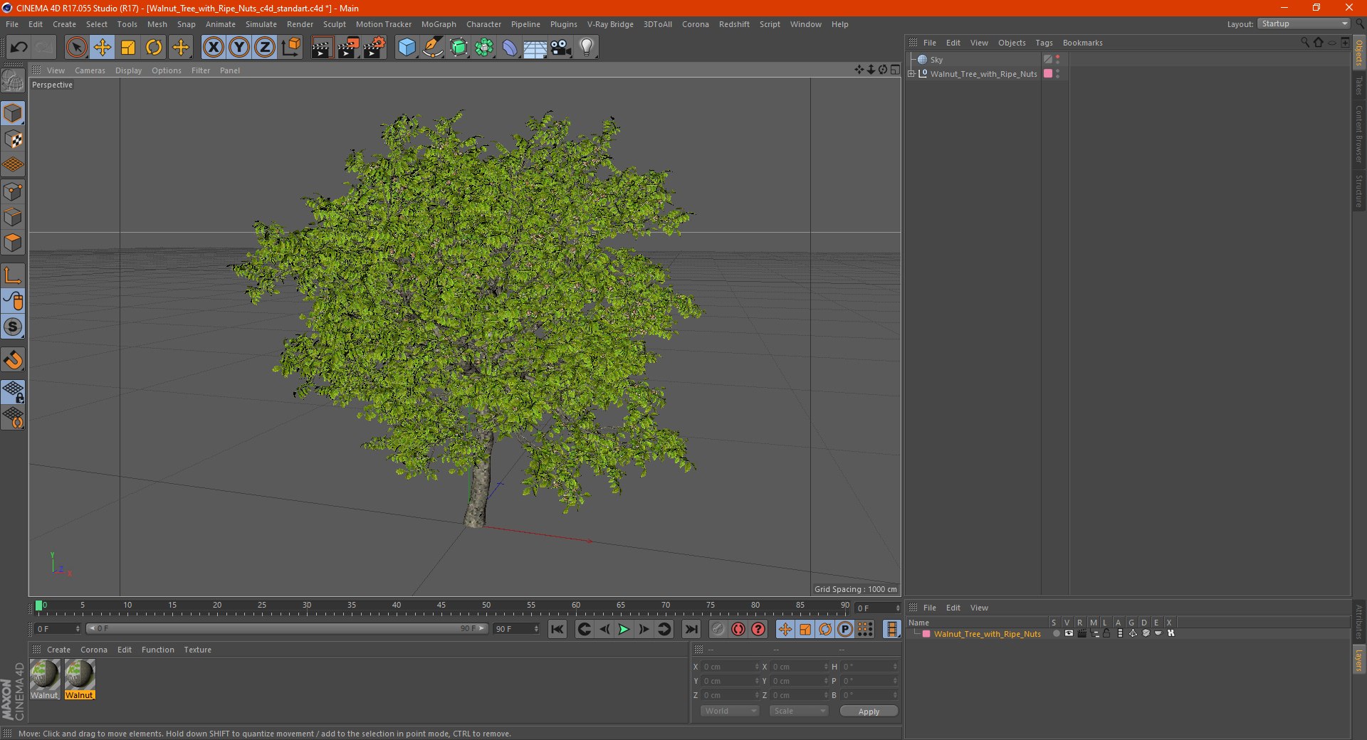 walnut tree ripe nuts 3D model https://p.turbosquid.com/ts-thumb/3x/vULpey/wM/walnuttreewithripenutsc4dmodel025/jpg/1614617012/1920x1080/fit_q87/f7e3f98338043fec2662d3d3cab225d225408940/walnuttreewithripenutsc4dmodel025.jpg