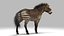 hippidion extinct horse 3D
