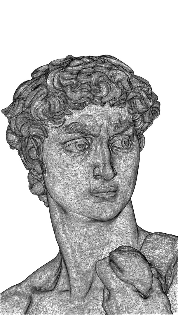 3D david best scan https://p.turbosquid.com/ts-thumb/3x/zL9kaI/5K/davidheadwire/jpg/1659462333/1920x1080/fit_q87/ad8b4f28ddcce0790faa1b3c4baeafa9b337a495/davidheadwire.jpg