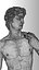 David best scan