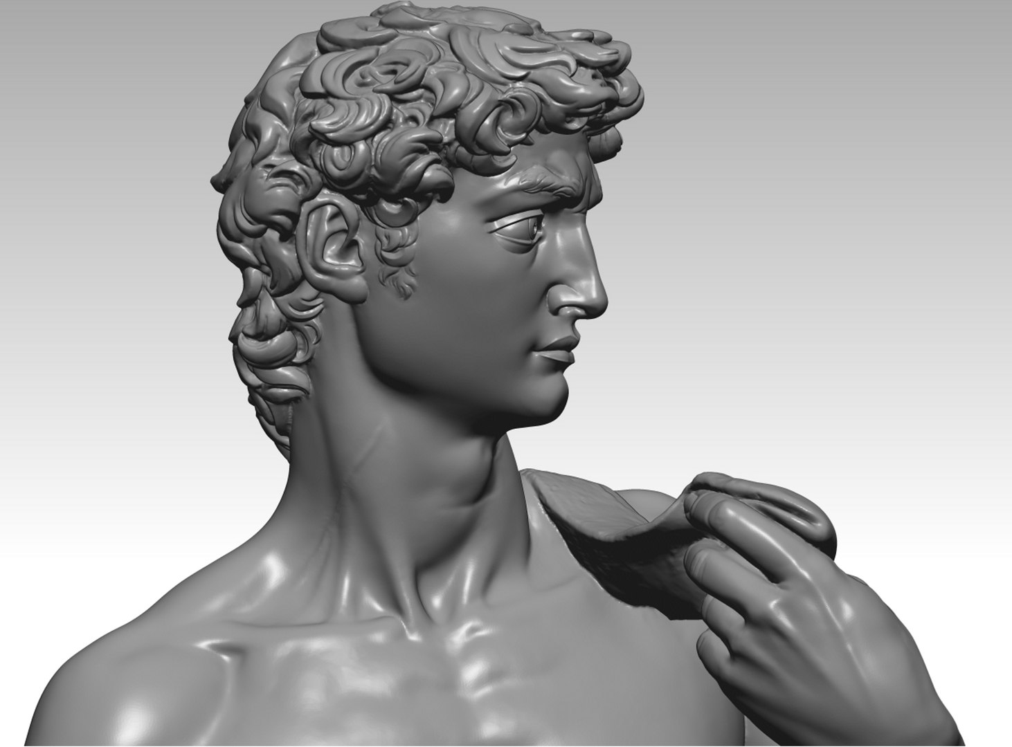3D david best scan https://p.turbosquid.com/ts-thumb/3x/zL9kaI/XJ/davidbestdetail4/jpg/1659461203/1920x1080/fit_q87/7d8255f744e0a6699aefe87f8bd5c495499de3ea/davidbestdetail4.jpg