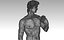 David best scan