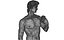 David best scan