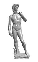 David best scan