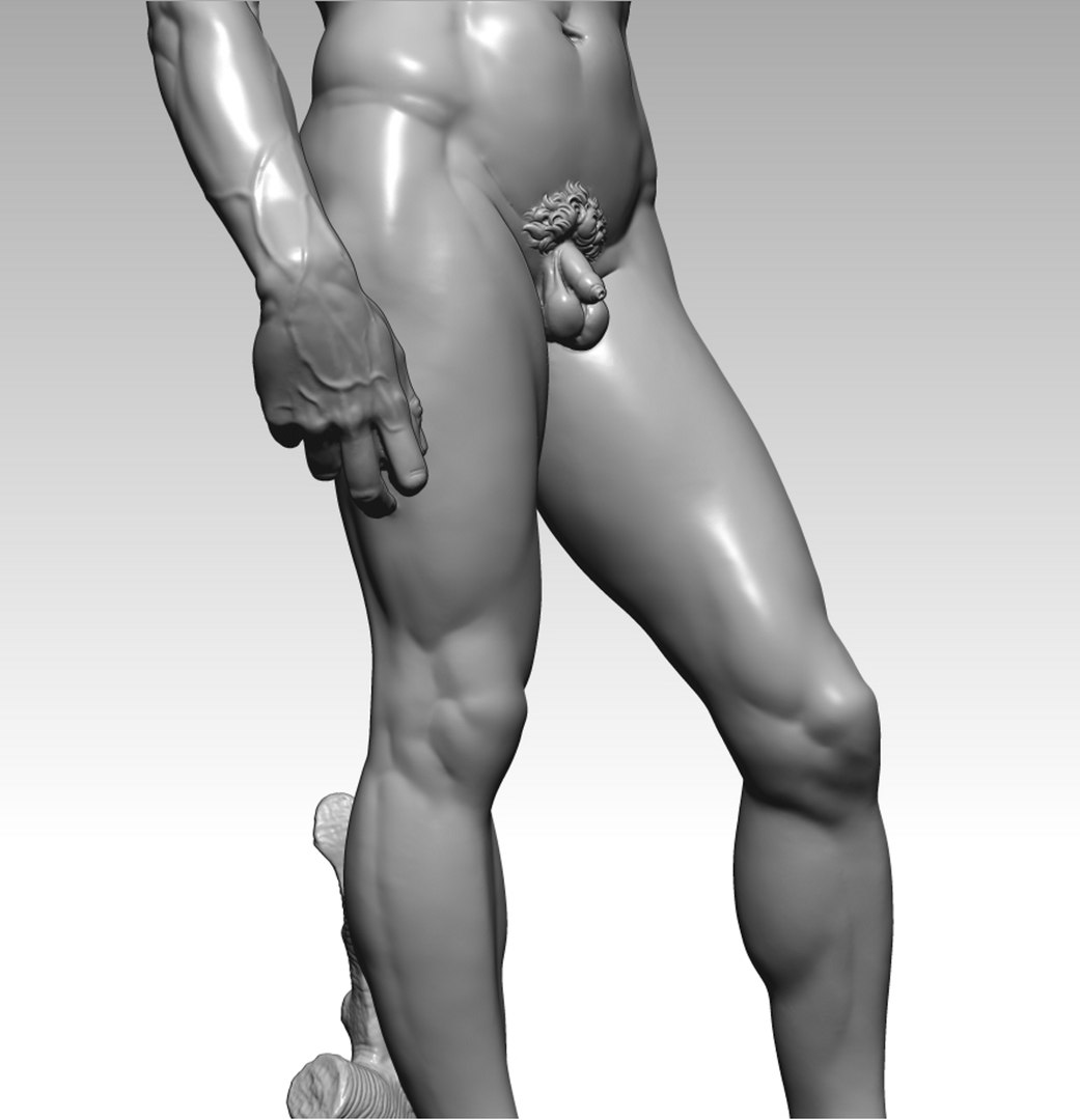 3D david best scan https://p.turbosquid.com/ts-thumb/3x/zL9kaI/lc/davidbestdetail2/jpg/1659461192/1920x1080/fit_q87/987b7f0832b376f0030a232a45988e6c2db896e2/davidbestdetail2.jpg