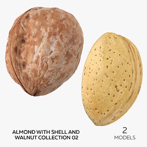 3D Almond With Shell and Walnut Collection 02 - 2 models