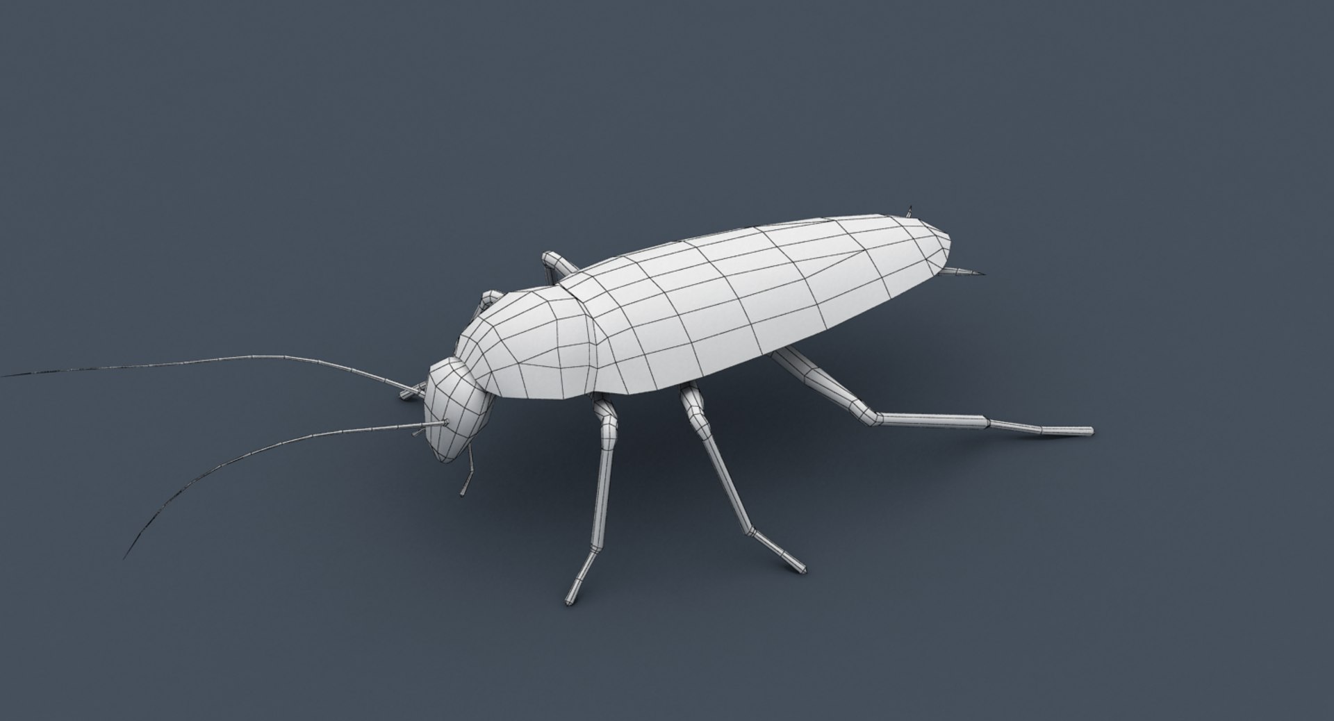 3d Model Rigged Cockroach