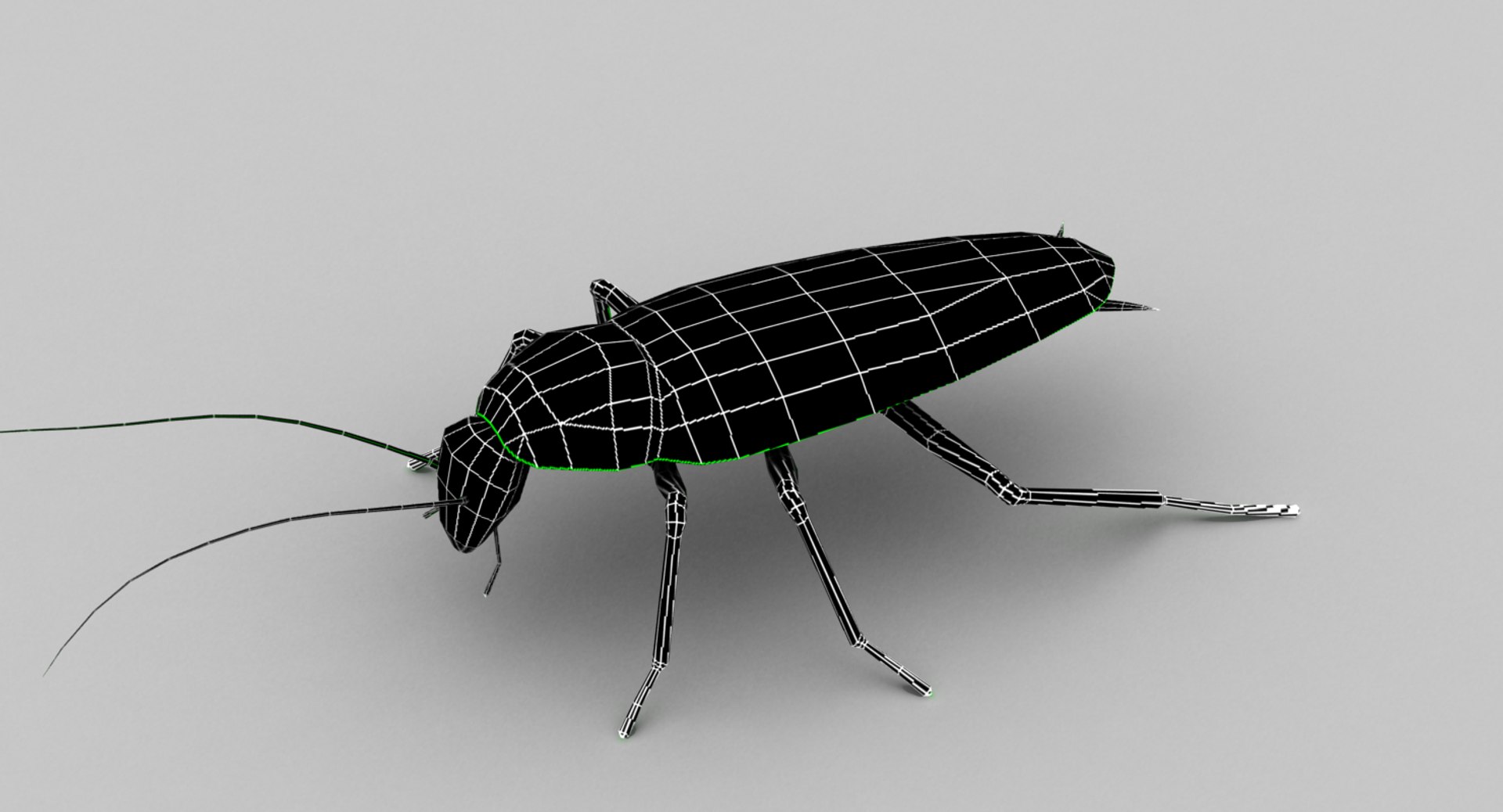 3d Model Rigged Cockroach