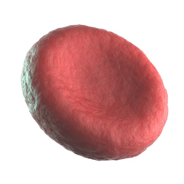 3D red blood cell
