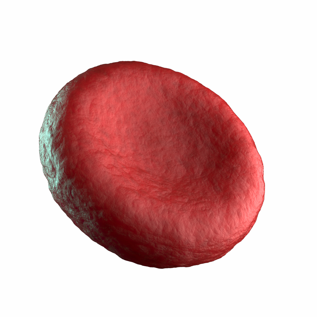 3D Red Blood Cell - TurboSquid 1320641