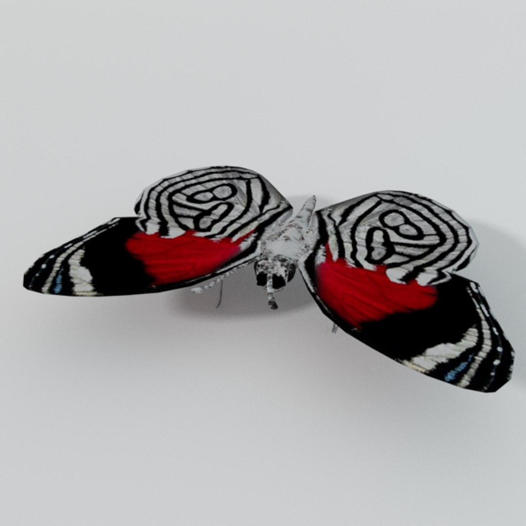 butterfly 89 3D model https://p.turbosquid.com/ts-thumb/3y/TVn3fk/vHYNcAf4/butherfly89_realistic/png/1534173145/1920x1080/fit_q87/898fd72db8c49591b8ea4e07c477f37ce7ba638a/butherfly89_realistic.jpg