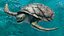 Sea Turtle Animated