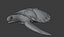 Sea Turtle Animated
