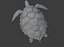 Sea Turtle Animated