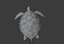 Sea Turtle Animated