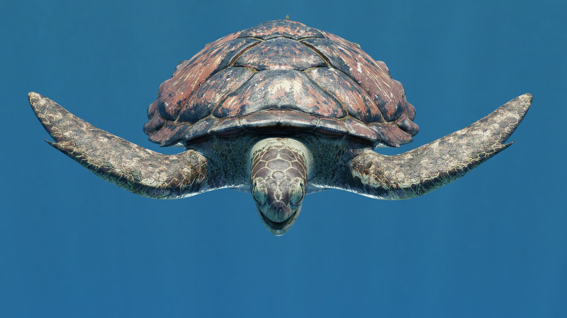 3D Sea Turtle Animated model https://p.turbosquid.com/ts-thumb/3y/aHpnsL/S2/example5/png/1660682601/1920x1080/fit_q87/fc876a579d6ece773d4daeb0a630309923d5b39e/example5.jpg