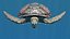 Sea Turtle Animated