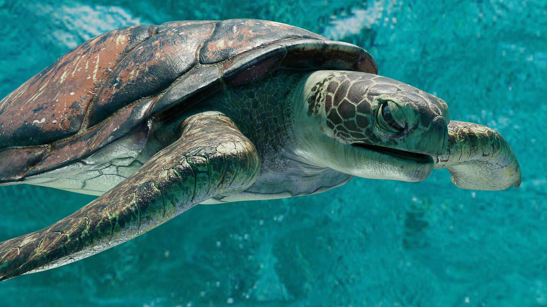 3D Sea Turtle Animated model https://p.turbosquid.com/ts-thumb/3y/aHpnsL/UD/example7/png/1660682610/1920x1080/fit_q87/991cf4a16dc4ab692bab09be5f79bc5286a52c8a/example7.jpg