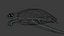 Sea Turtle Animated