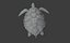 Sea Turtle Animated