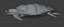 Sea Turtle Animated