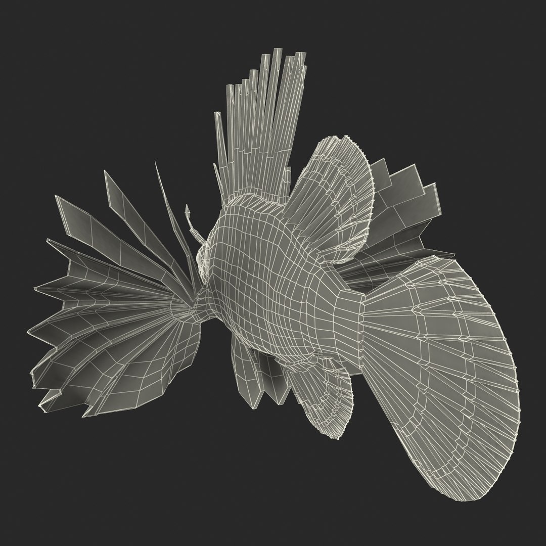 lion fish 3d max https://p.turbosquid.com/ts-thumb/3y/aJ4kTv/4rY6aKC1/lionfish3dmodel32/jpg/1455277654/1920x1080/fit_q87/819ae7ba847d9e9529f91e79928c9ffe2beb3b83/lionfish3dmodel32.jpg