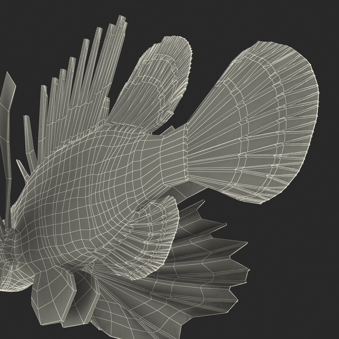 lion fish 3d max https://p.turbosquid.com/ts-thumb/3y/aJ4kTv/4v7JK72p/lionfish3dmodel36/jpg/1455277654/1920x1080/fit_q87/152a8b67ef7a170e4db4313a87b8cfe61d48e82c/lionfish3dmodel36.jpg