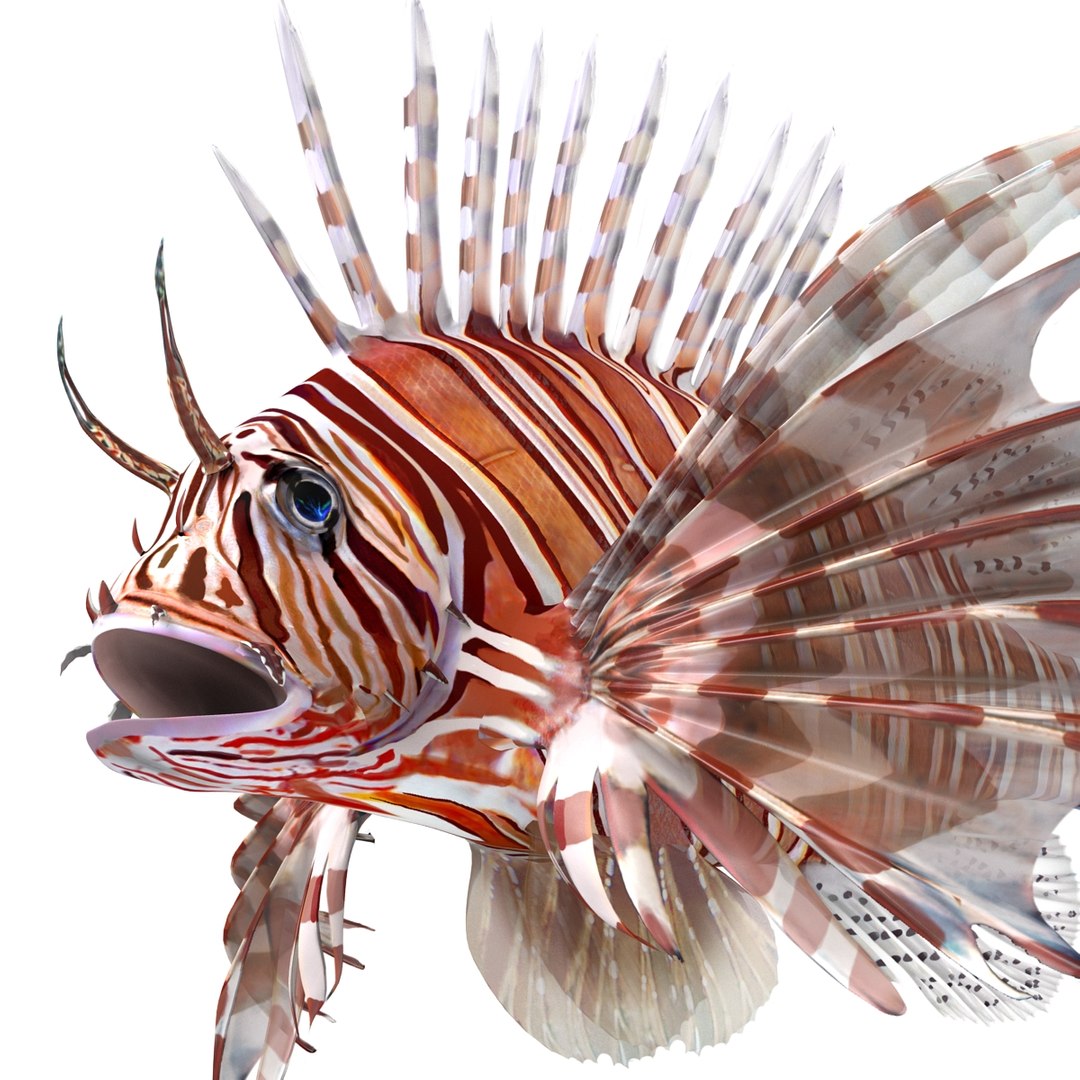 lion fish 3d max