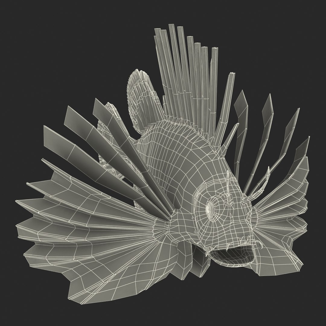lion fish 3d max https://p.turbosquid.com/ts-thumb/3y/aJ4kTv/Ld947hnK/lionfish3dmodel31/jpg/1455277654/1920x1080/fit_q87/8a09fb9799cc9b5444ea1080b98b7a3443f7cc46/lionfish3dmodel31.jpg
