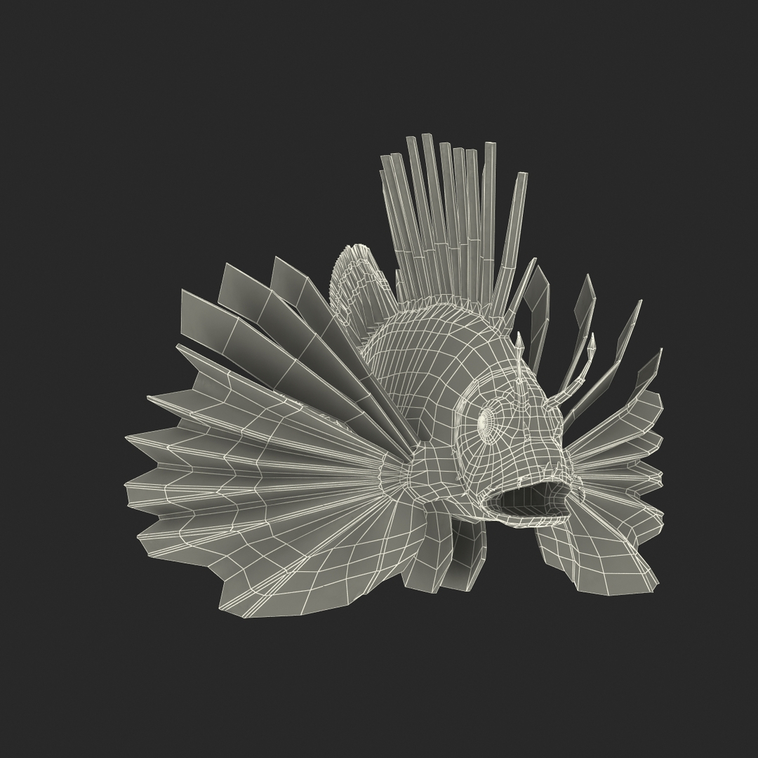 lion fish 3d max https://p.turbosquid.com/ts-thumb/3y/aJ4kTv/P0Akil2P/lionfish_361/jpg/1455276147/1920x1080/turn_fit_q99/fffc71e81dbd9309d9d5cef2ea345a042fb28f14/lionfish_361-1.jpg