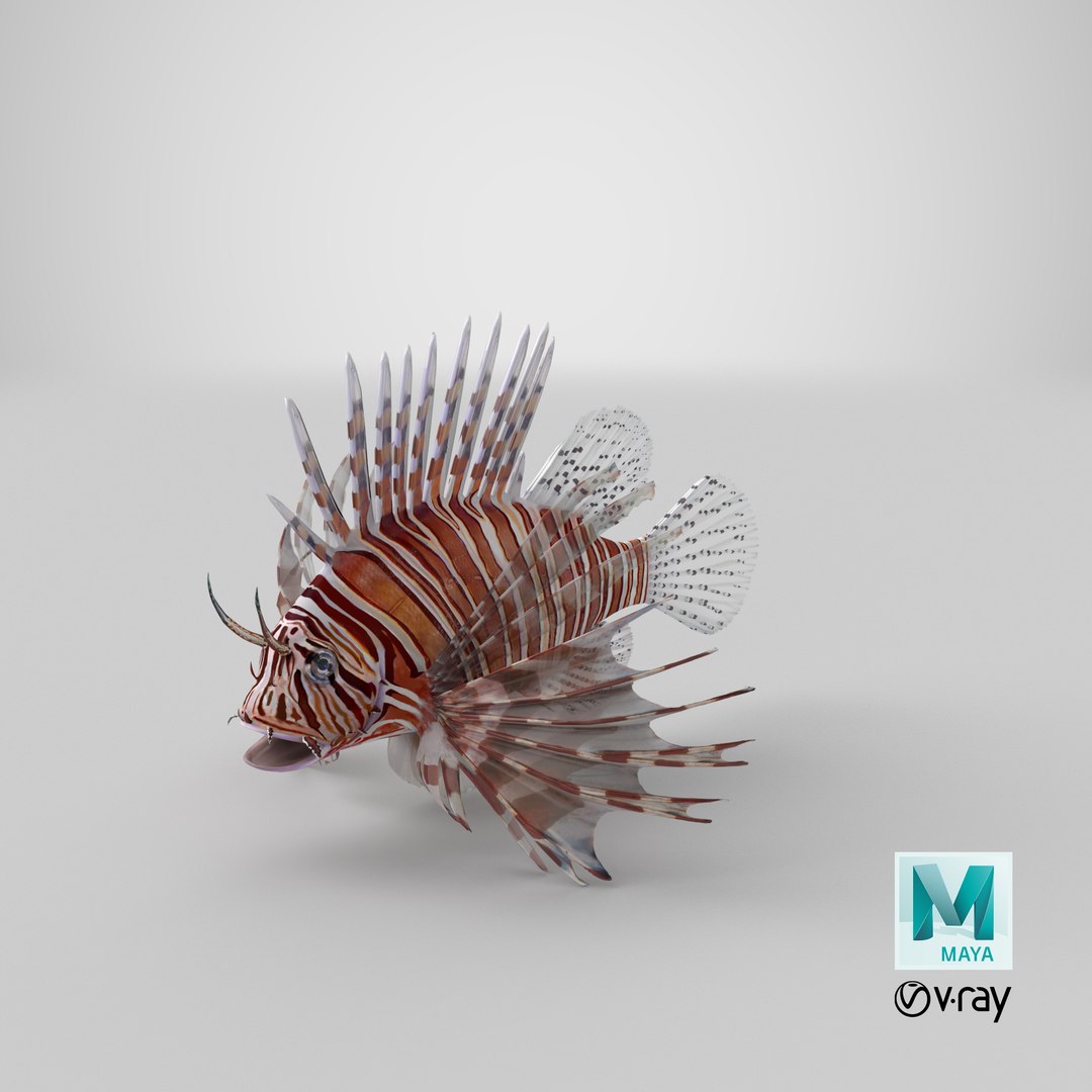 lion fish 3d max https://p.turbosquid.com/ts-thumb/3y/aJ4kTv/W0/stemcell_maya_vray_render/png/1658218486/1920x1080/fit_q87/02f1fdd88b51b908d8dd8bb9c6cc4da15aeb9d7d/stemcell_maya_vray_render.jpg