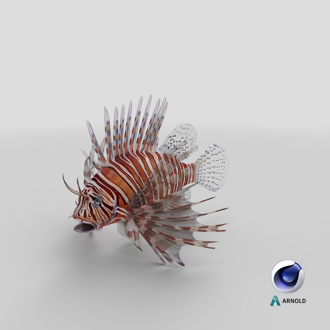 lion fish 3d max https://p.turbosquid.com/ts-thumb/3y/aJ4kTv/a4/stemcell_cinema_4d_arnold_render/png/1658218473/1920x1080/fit_q87/e9025241cafd365d0fd7ac42fe65fce5a3e15865/stemcell_cinema_4d_arnold_render.jpg