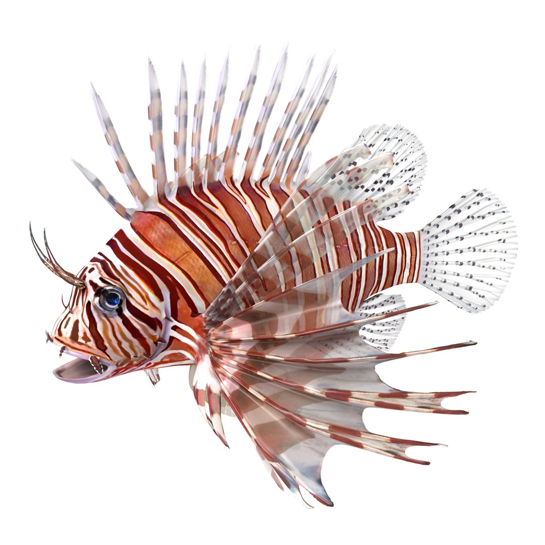 lion fish 3d max