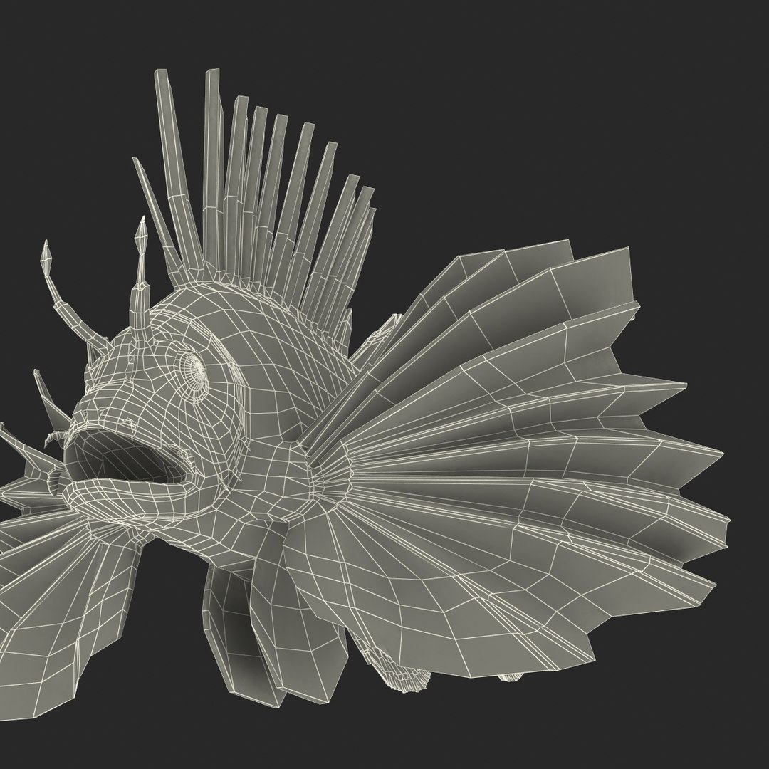 lion fish 3d max https://p.turbosquid.com/ts-thumb/3y/aJ4kTv/mA6FYJSZ/lionfish3dmodel35/jpg/1455277654/1920x1080/fit_q87/c43d6c82b9fb2ed90b089893dbfe86c329f088f0/lionfish3dmodel35.jpg