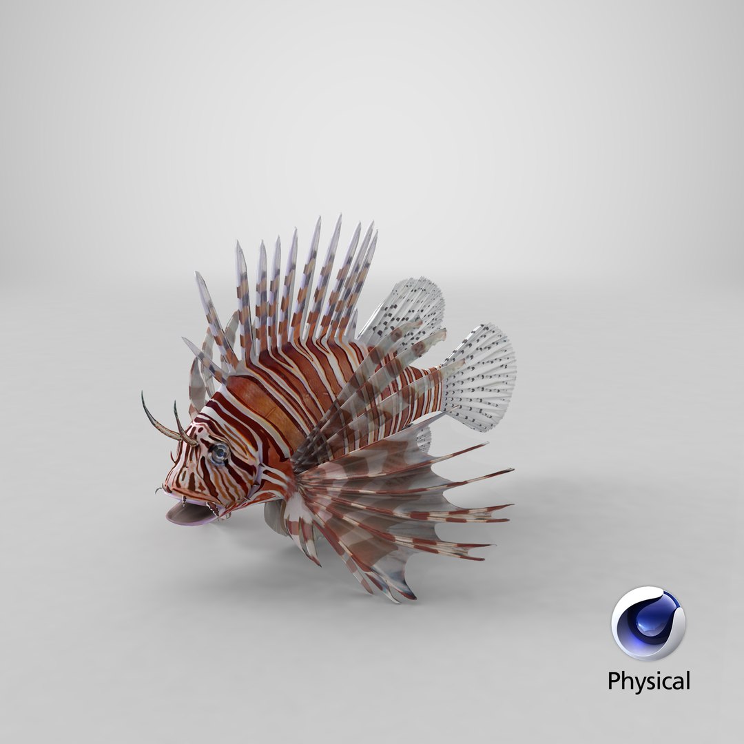 lion fish 3d max https://p.turbosquid.com/ts-thumb/3y/aJ4kTv/o6/stemcell_cinema_4d_physical_render/png/1658218471/1920x1080/fit_q87/2608578164c3f883b8887f6102fa156437138122/stemcell_cinema_4d_physical_render.jpg