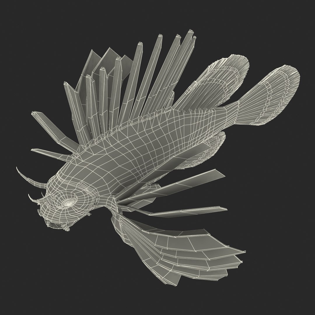 lion fish 3d max https://p.turbosquid.com/ts-thumb/3y/aJ4kTv/qfLIs6Os/lionfish3dmodel33/jpg/1455277654/1920x1080/fit_q87/ce128cda610abb7c69a68841233a297bb6587740/lionfish3dmodel33.jpg