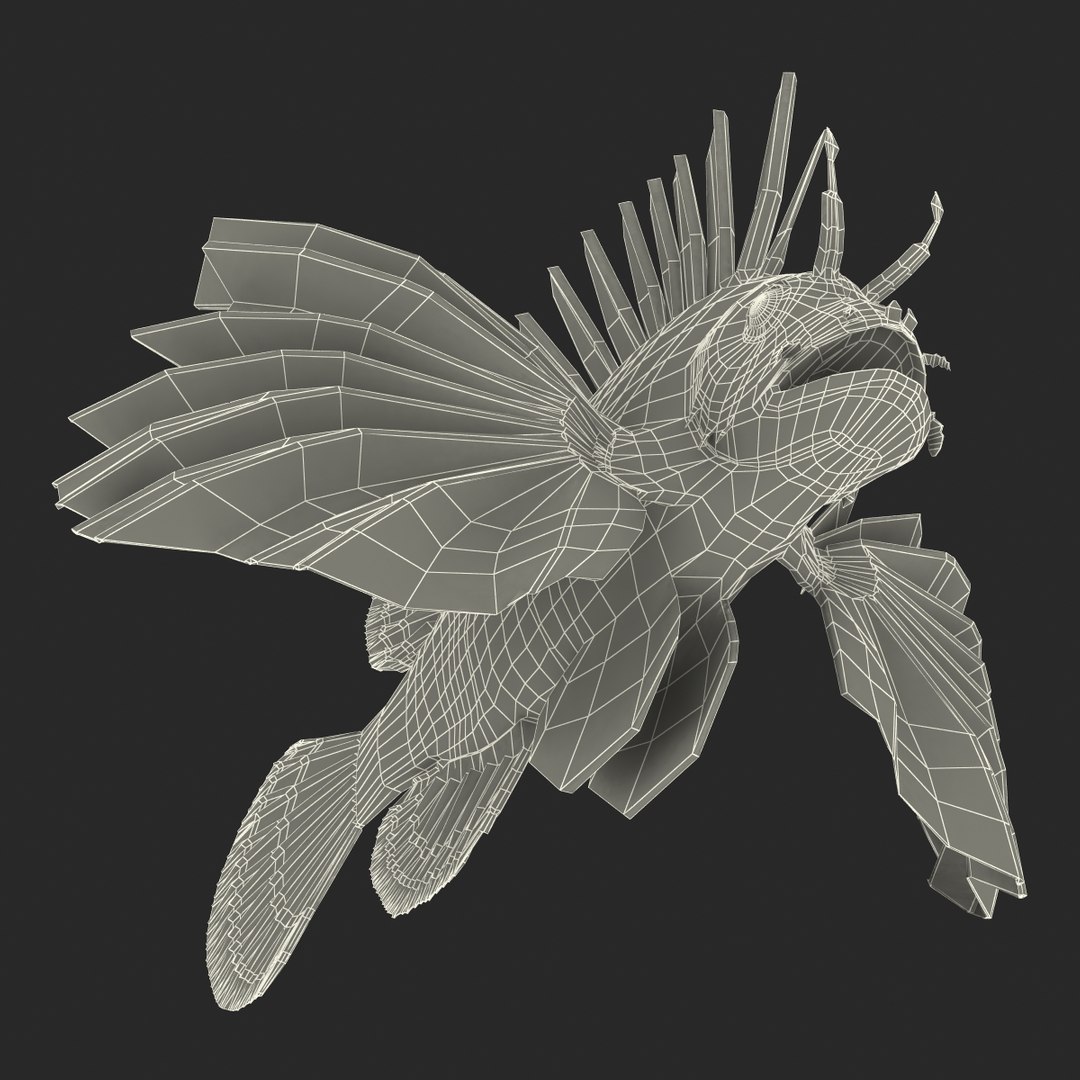 lion fish 3d max https://p.turbosquid.com/ts-thumb/3y/aJ4kTv/tspjGSu7/lionfish3dmodel34/jpg/1455277654/1920x1080/fit_q87/58af719df4e2e4d938e519a350fc9ced69cd766b/lionfish3dmodel34.jpg