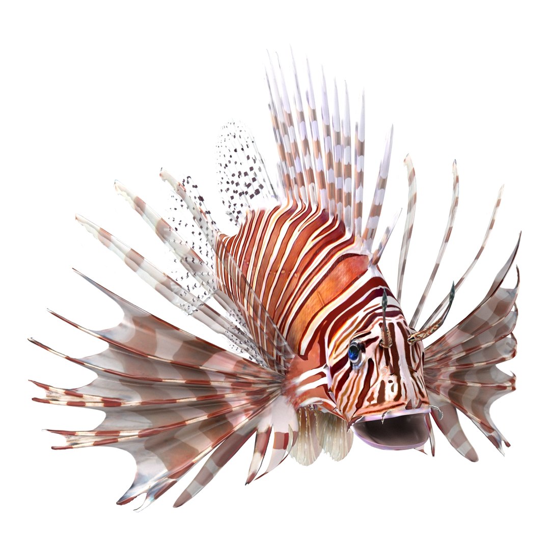 lion fish 3d max https://p.turbosquid.com/ts-thumb/3y/aJ4kTv/wEtDciIp/lionfish3dmodel04/jpg/1455277651/1920x1080/fit_q87/630b60cab692c2ad8d3bd4efbe4d44b5066fc597/lionfish3dmodel04.jpg