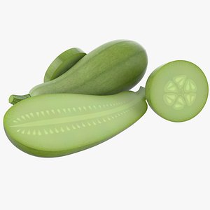 3D Cartoon Squash