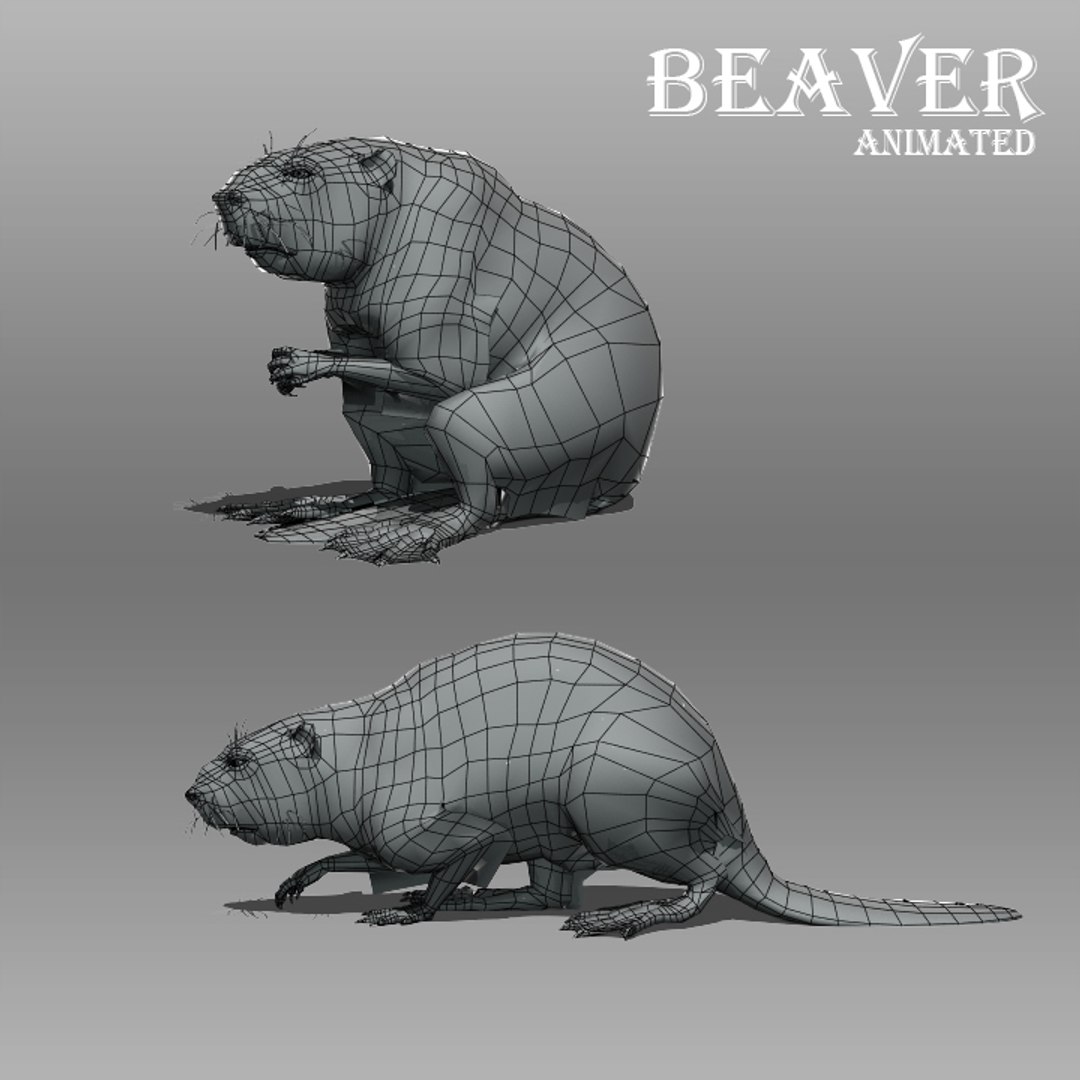 Beaver Animations Model - TurboSquid 1231482