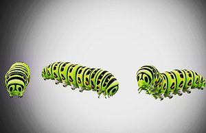 Caterpillar Rigged Low Poly