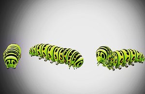 Caterpillar Rigged Low Poly