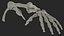 Human Arm Skeleton